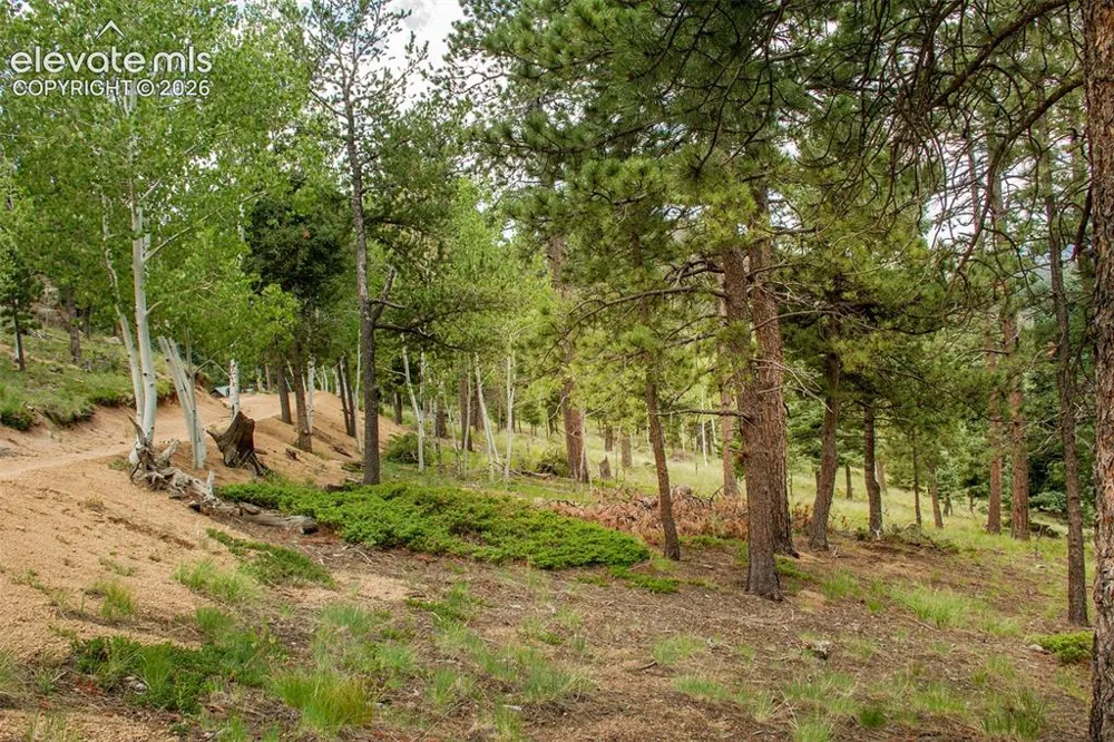 266 Aspen Ridge Road Manitou Springs, CO 80829