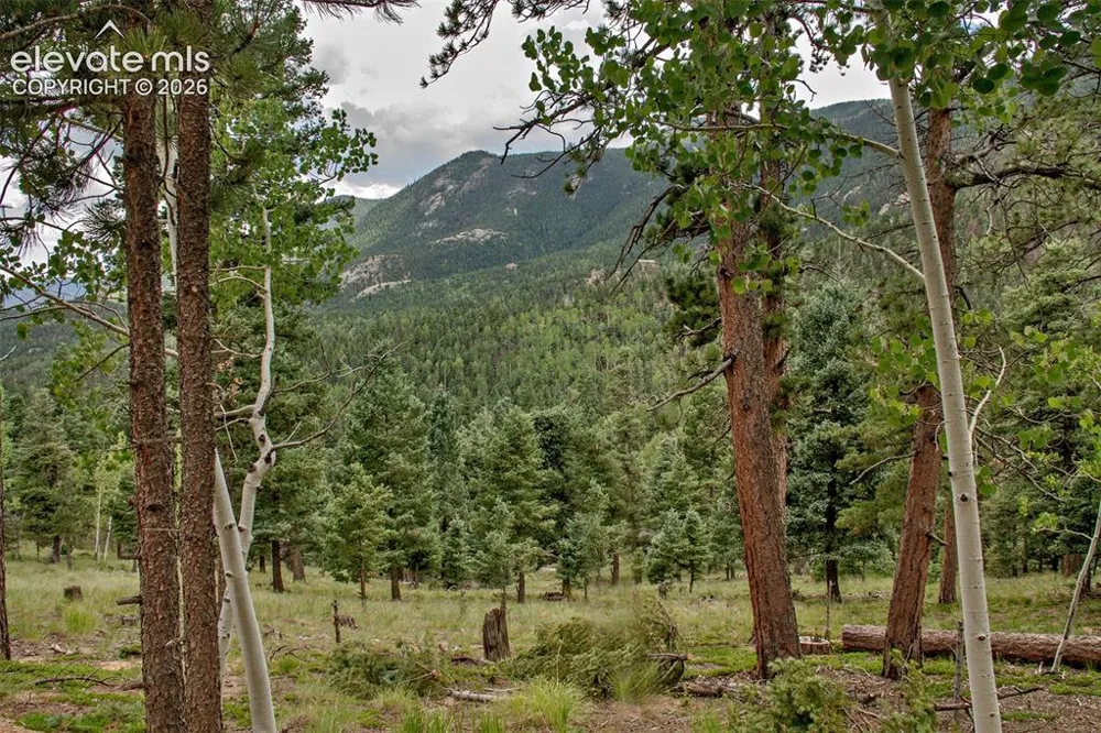 266 Aspen Ridge Road Manitou Springs, CO 80829