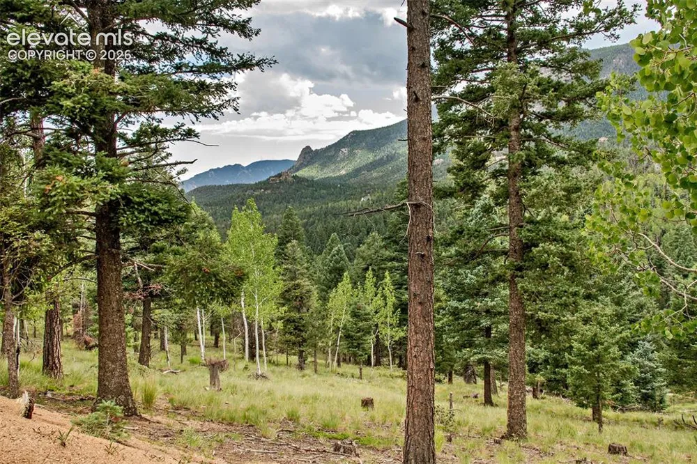 266 Aspen Ridge Road Manitou Springs, CO 80829