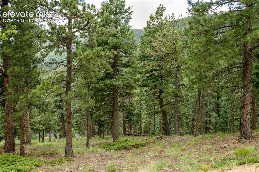 266 Aspen Ridge Road Manitou Springs, CO 80829