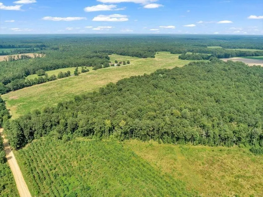 356 Massey-Doss Road Keysville, GA 30816