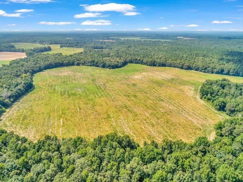 356 Massey-Doss Road Keysville, GA 30816