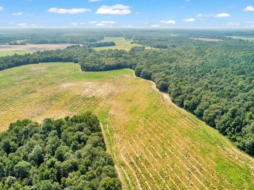 356 Massey-Doss Road Keysville, GA 30816