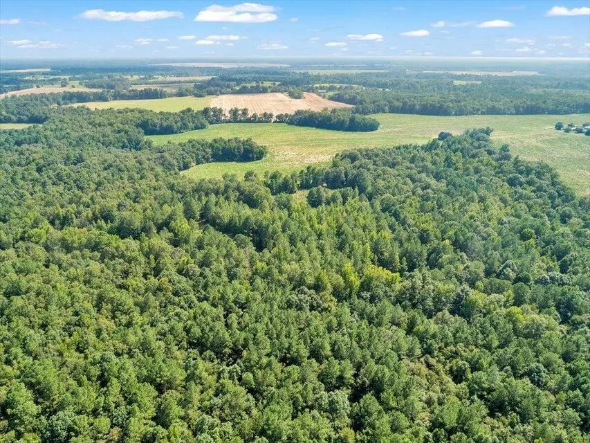 356 Massey-Doss Road Keysville, GA 30816