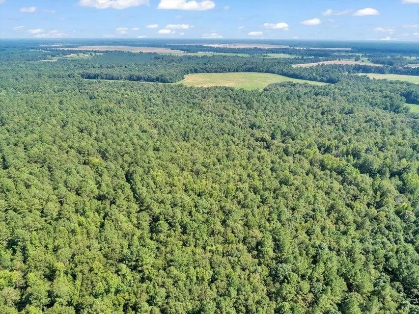 356 Massey-Doss Road Keysville, GA 30816