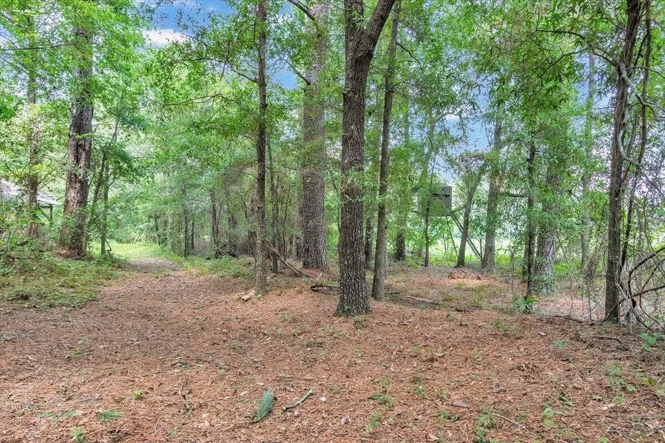 356 Massey-Doss Road Keysville, GA 30816