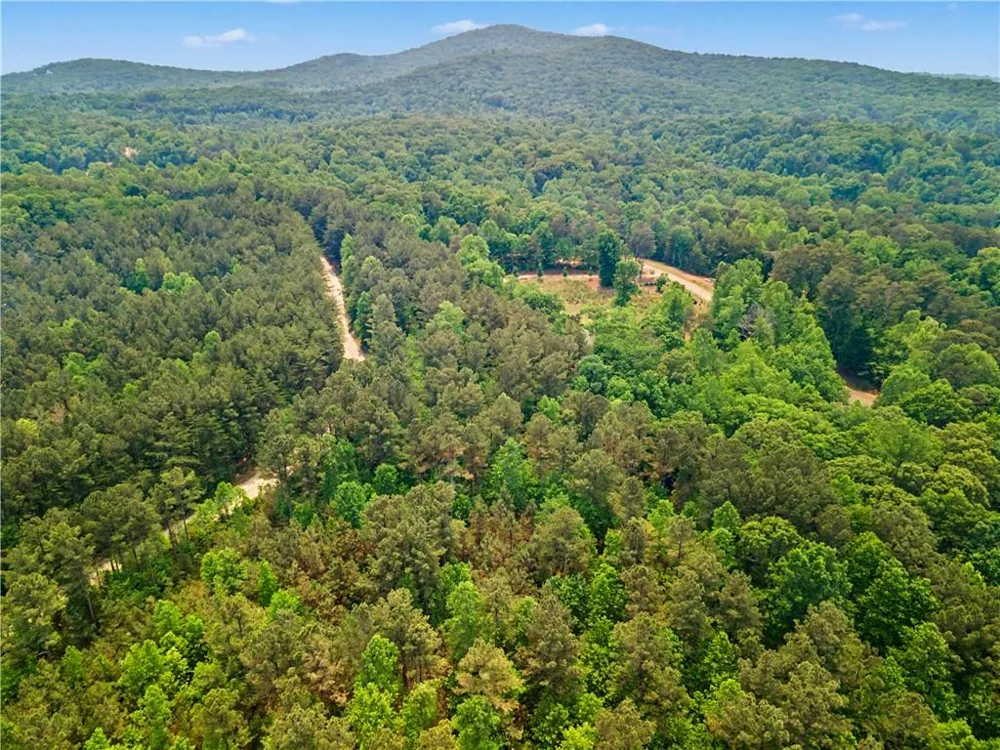 1315 Hubbard Road Dawsonville, GA 30534