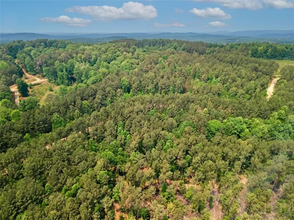 1315 Hubbard Road Dawsonville, GA 30534