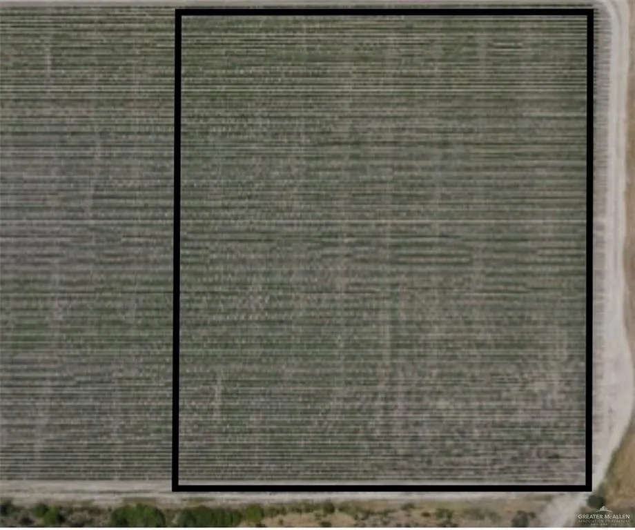 0 Mile 17 1/2 Elsa, TX 78538