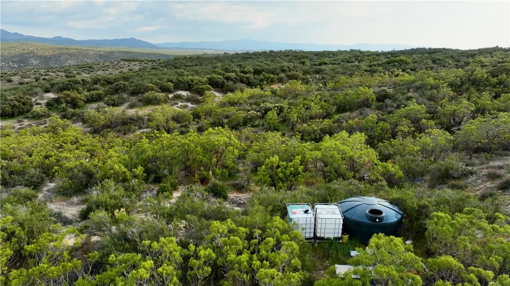 4 Indian Road Anza, CA 92539