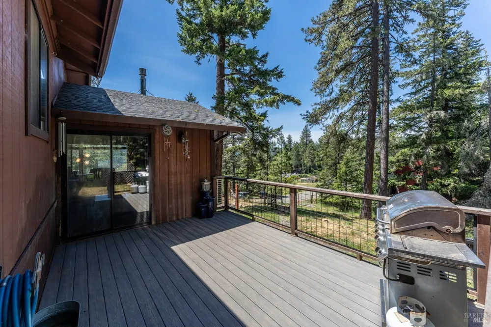 1618 Daphne Drive Willits, CA 95490