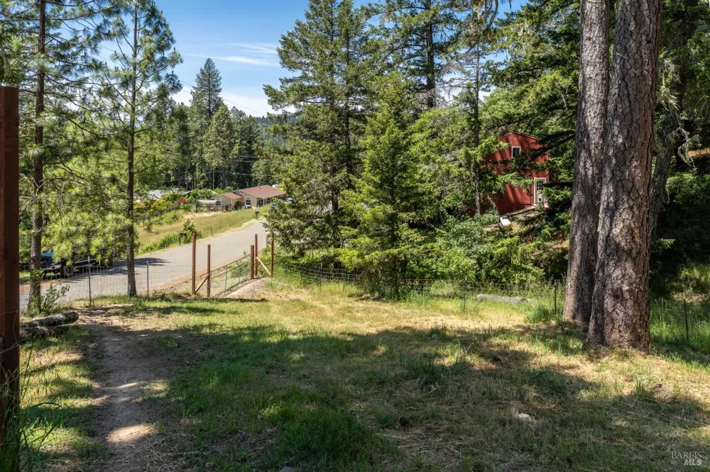 1618 Daphne Drive Willits, CA 95490