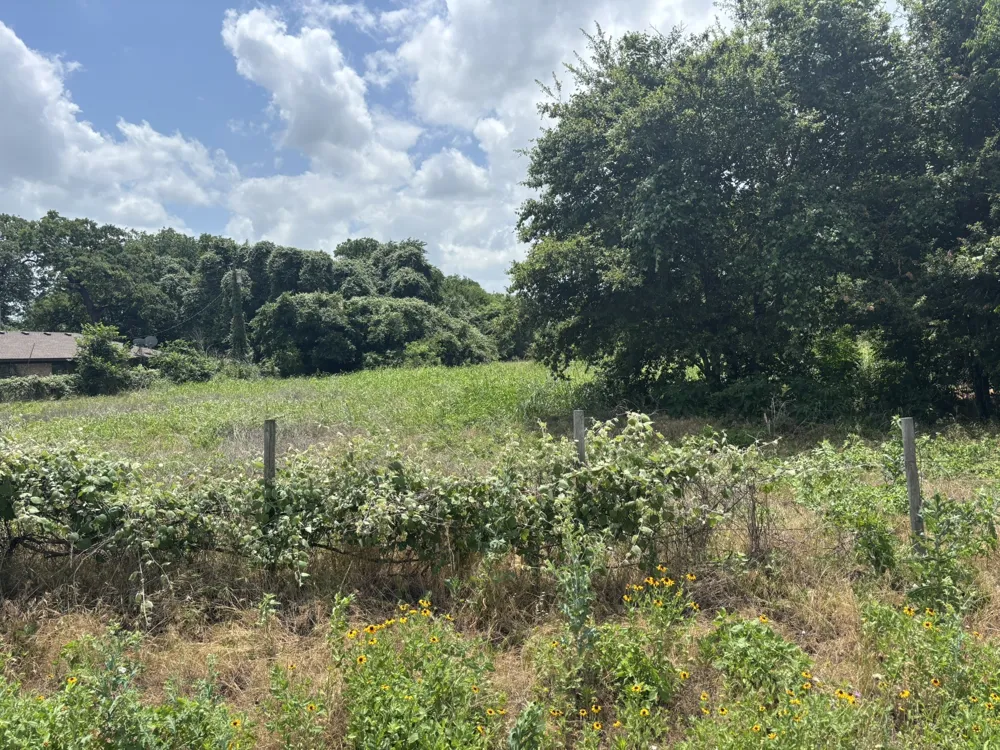 12999 Gholson Road Gholson, TX 76705