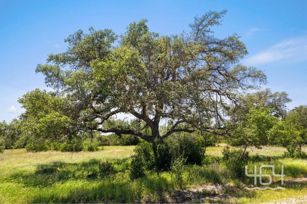26 Coastal Loop Drive Johnson City, TX 78636