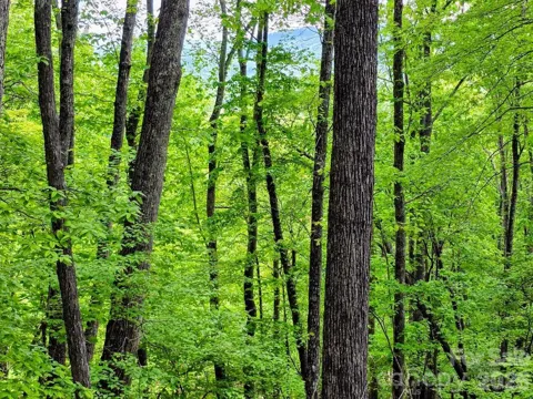 00 Hickory Springs Road #12