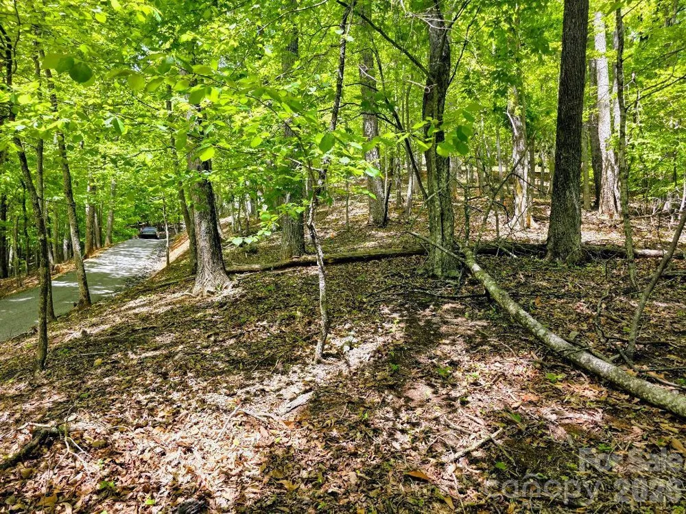 00 Hickory Springs Road #12 Burnsville, NC 28714