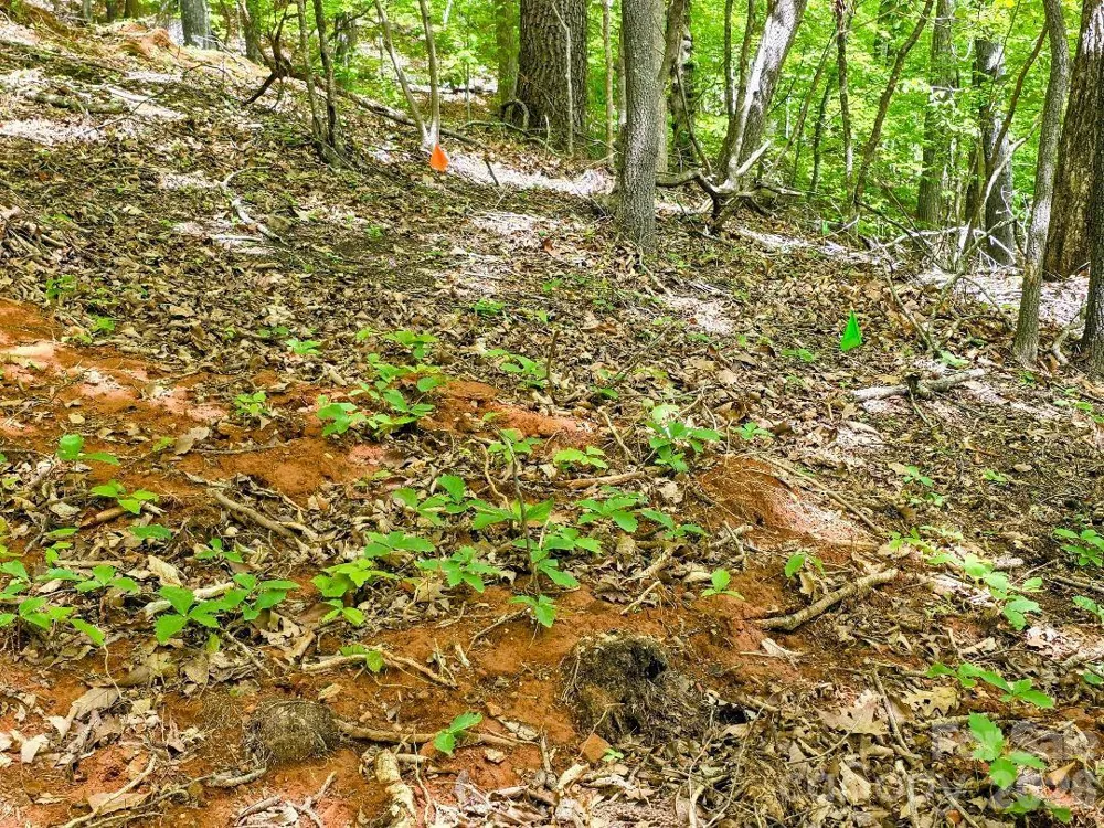 00 Hickory Springs Road #12 Burnsville, NC 28714