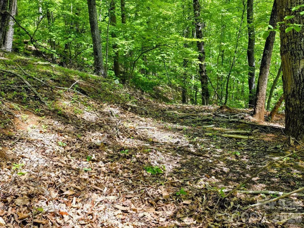 00 Hickory Springs Road #12 Burnsville, NC 28714