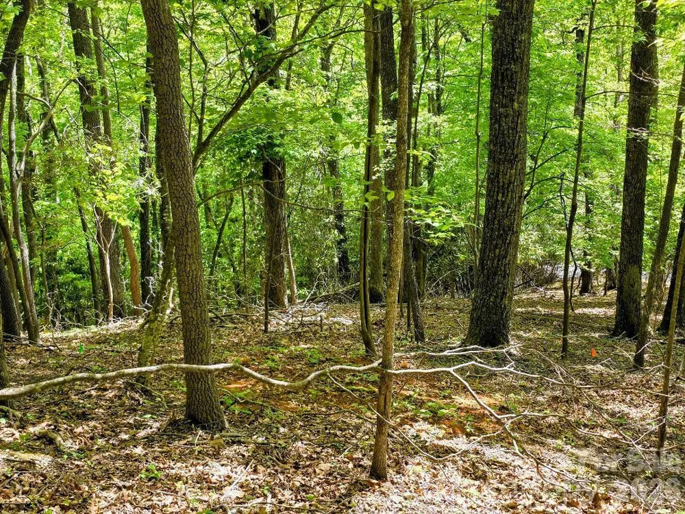 00 Hickory Springs Road #12 Burnsville, NC 28714