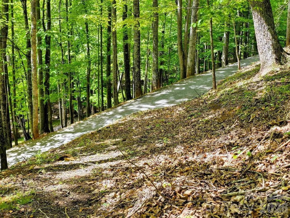 00 Hickory Springs Road #12 Burnsville, NC 28714