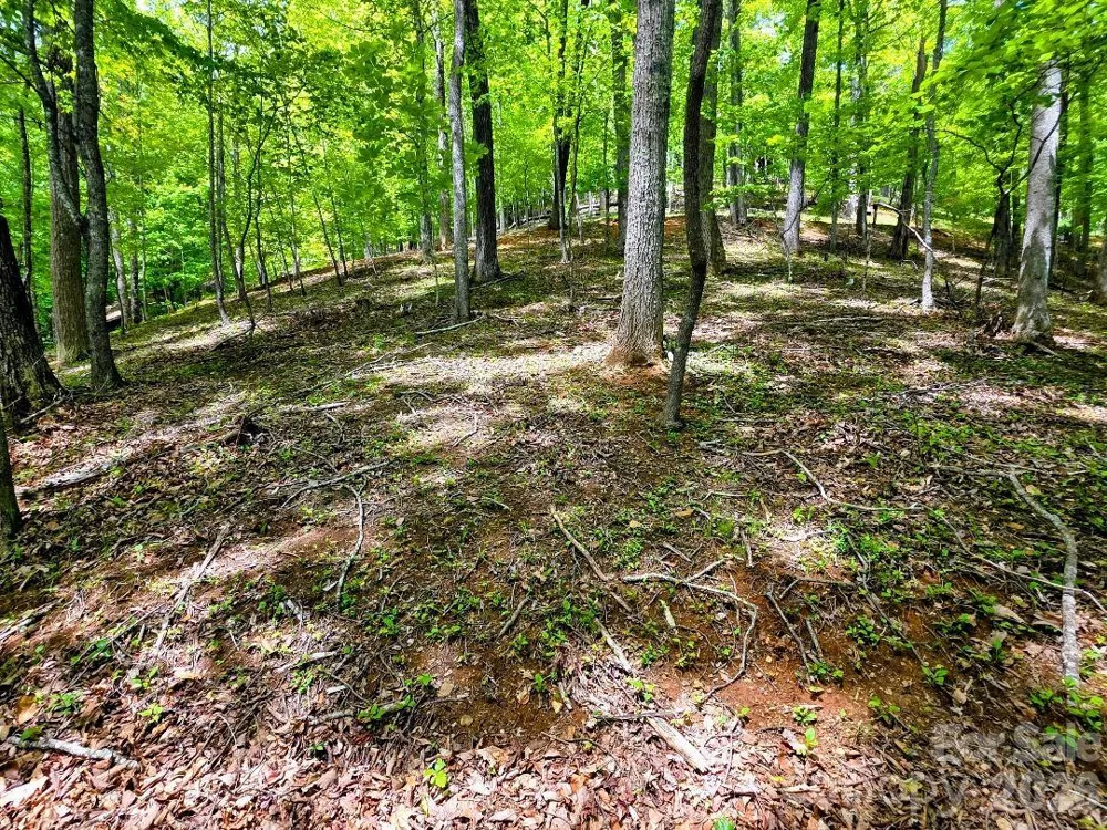 00 Hickory Springs Road #12 Burnsville, NC 28714