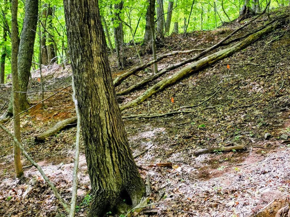00 Hickory Springs Road #12 Burnsville, NC 28714