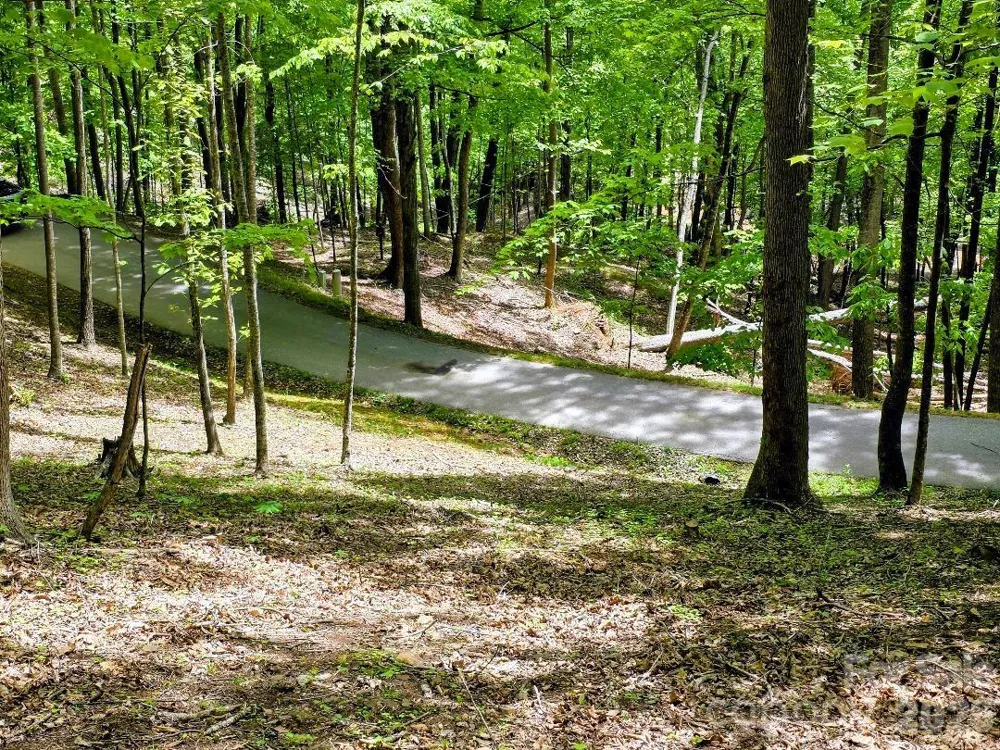 00 Hickory Springs Road #12 Burnsville, NC 28714