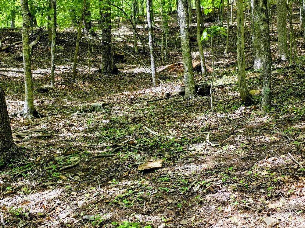 00 Hickory Springs Road #12 Burnsville, NC 28714