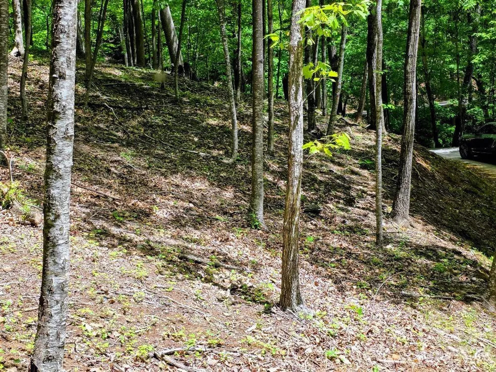 00 Hickory Springs Road #12 Burnsville, NC 28714