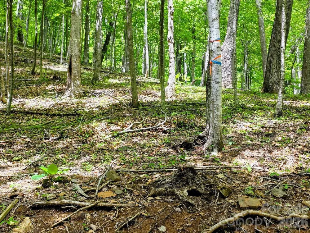 00 Hickory Springs Road #12 Burnsville, NC 28714