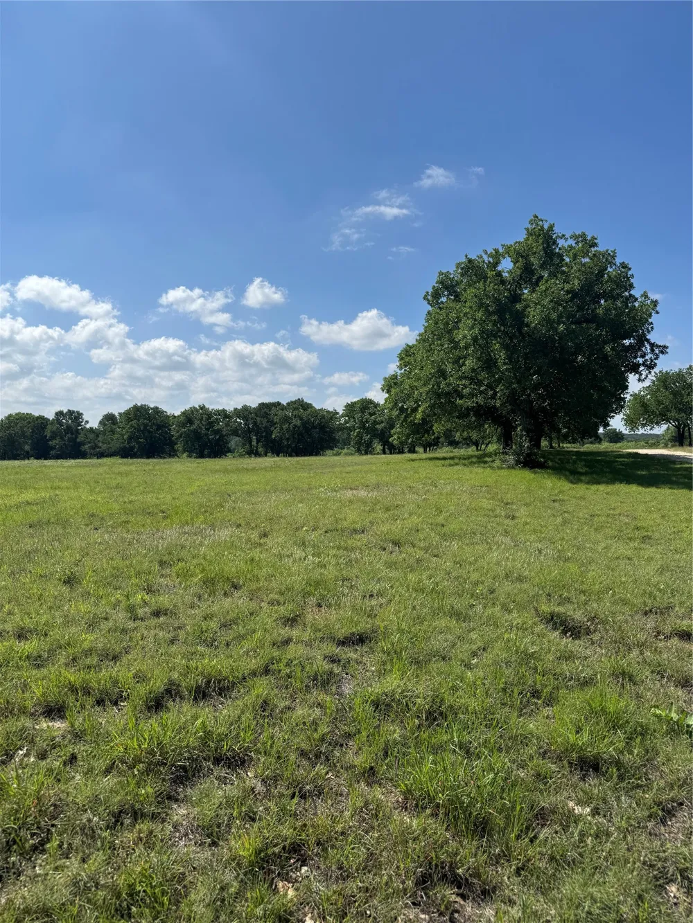 12152 County Road 156 Bluff Dale, TX 76433