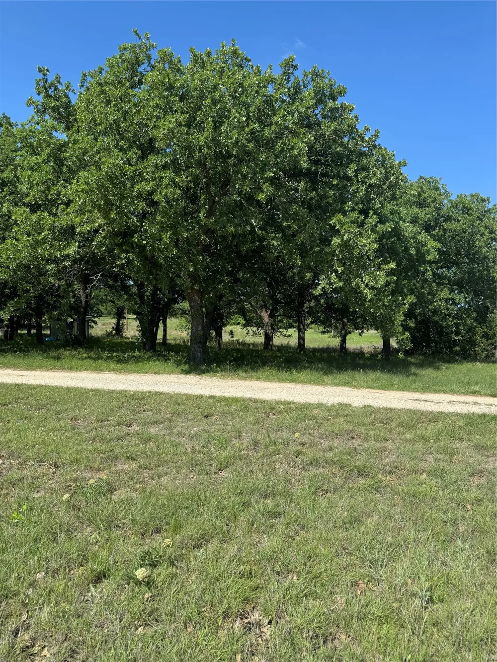 12152 County Road 156 Bluff Dale, TX 76433