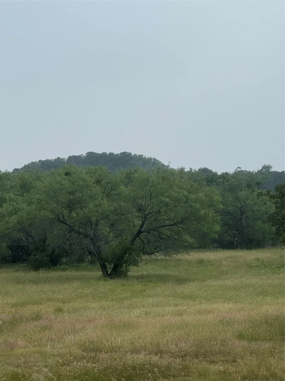 12152 County Road 156 Bluff Dale, TX 76433