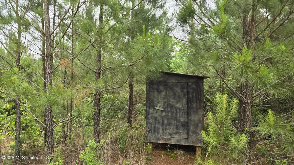 189 Co Rd 2337 Bay Springs, MS 39422