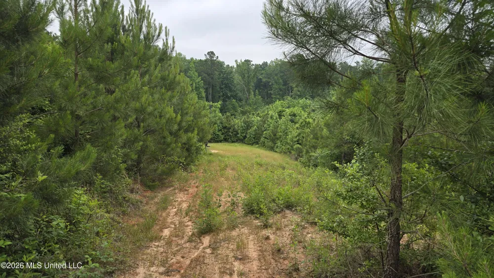 189 Co Rd 2337 Bay Springs, MS 39422