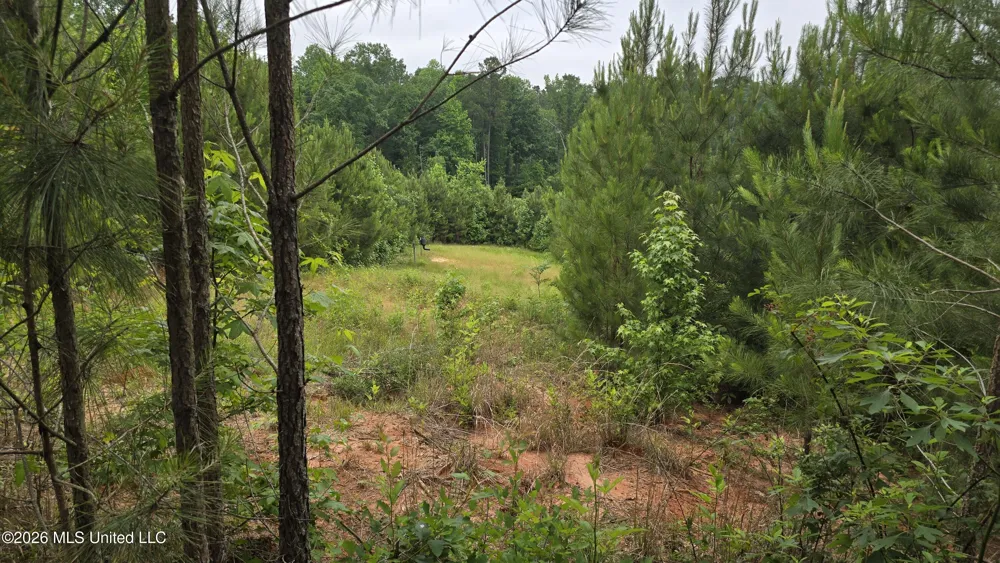 189 Co Rd 2337 Bay Springs, MS 39422