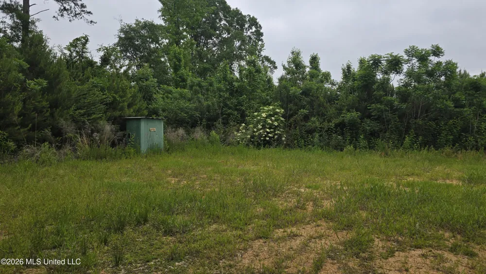 189 Co Rd 2337 Bay Springs, MS 39422