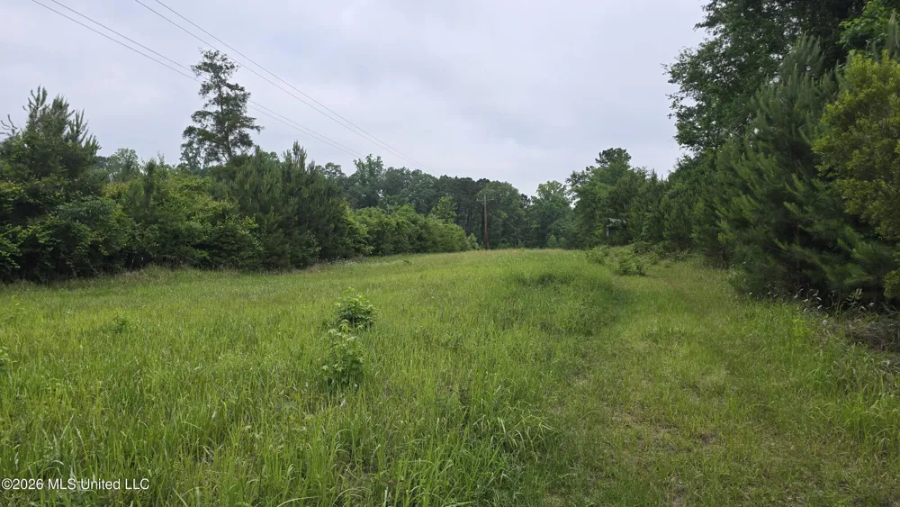 189 Co Rd 2337 Bay Springs, MS 39422