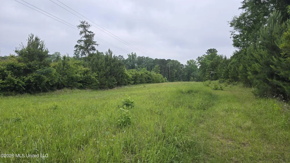 189 Co Rd 2337 Bay Springs, MS 39422