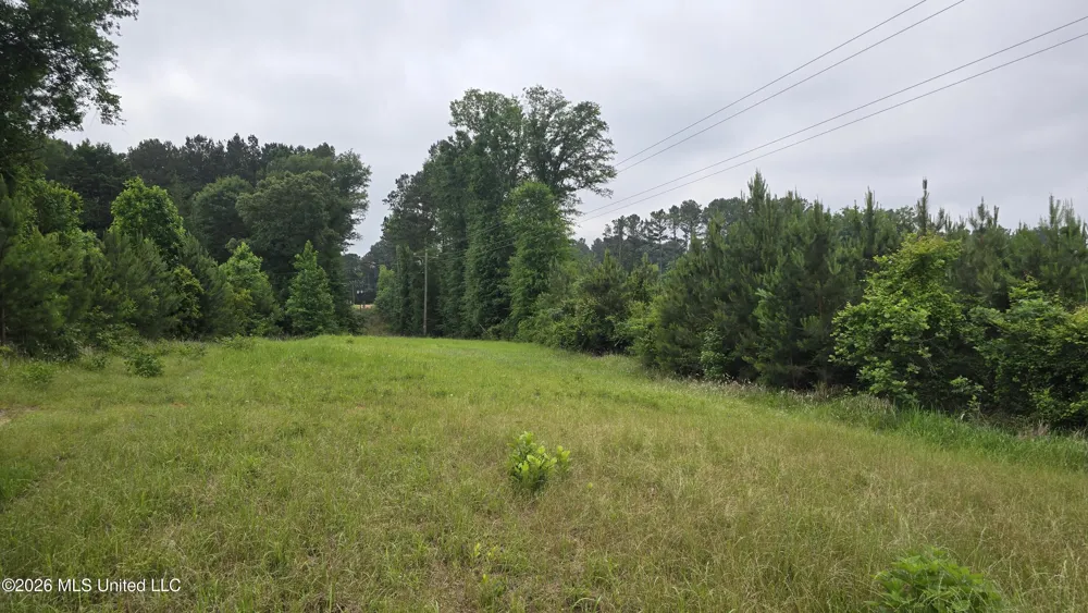 189 Co Rd 2337 Bay Springs, MS 39422