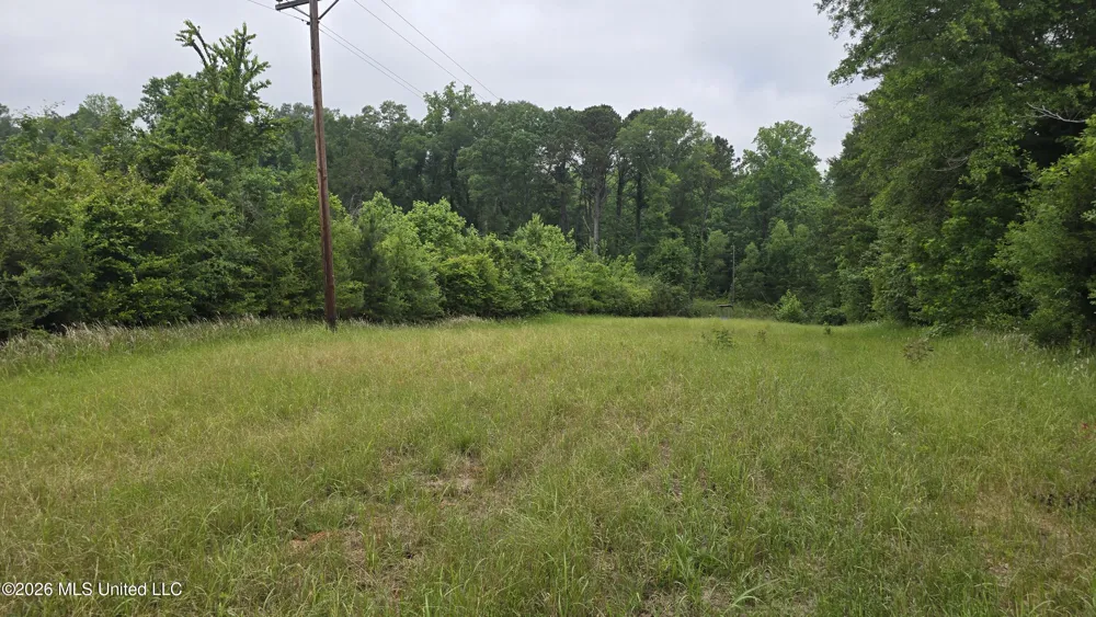 189 Co Rd 2337 Bay Springs, MS 39422