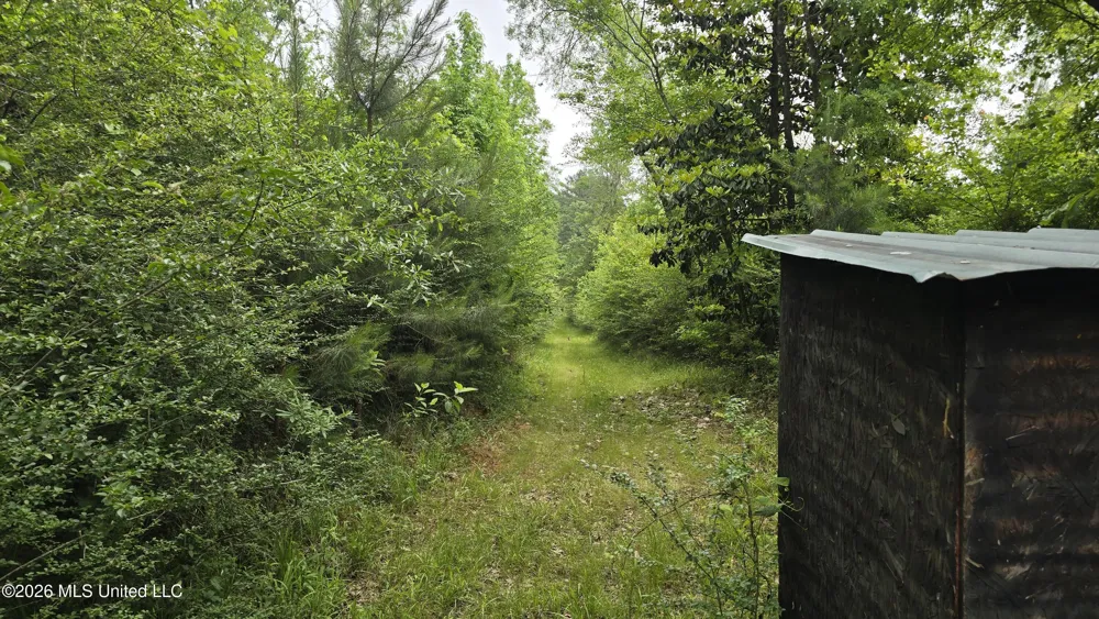189 Co Rd 2337 Bay Springs, MS 39422