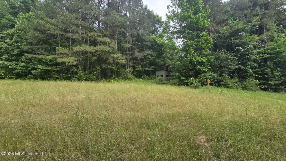 189 Co Rd 2337 Bay Springs, MS 39422