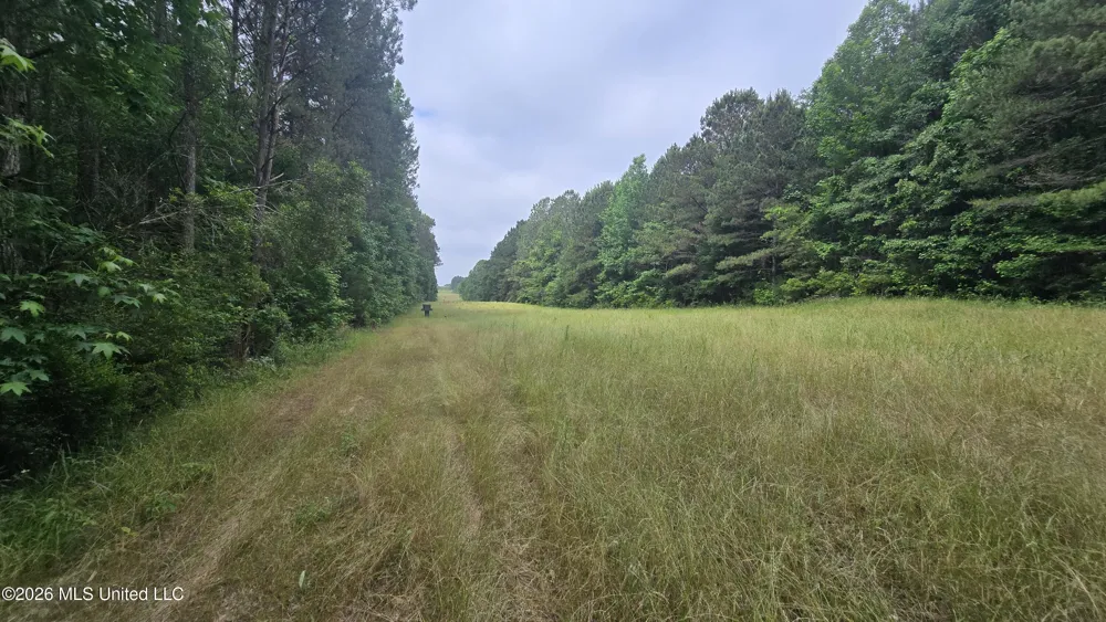 189 Co Rd 2337 Bay Springs, MS 39422