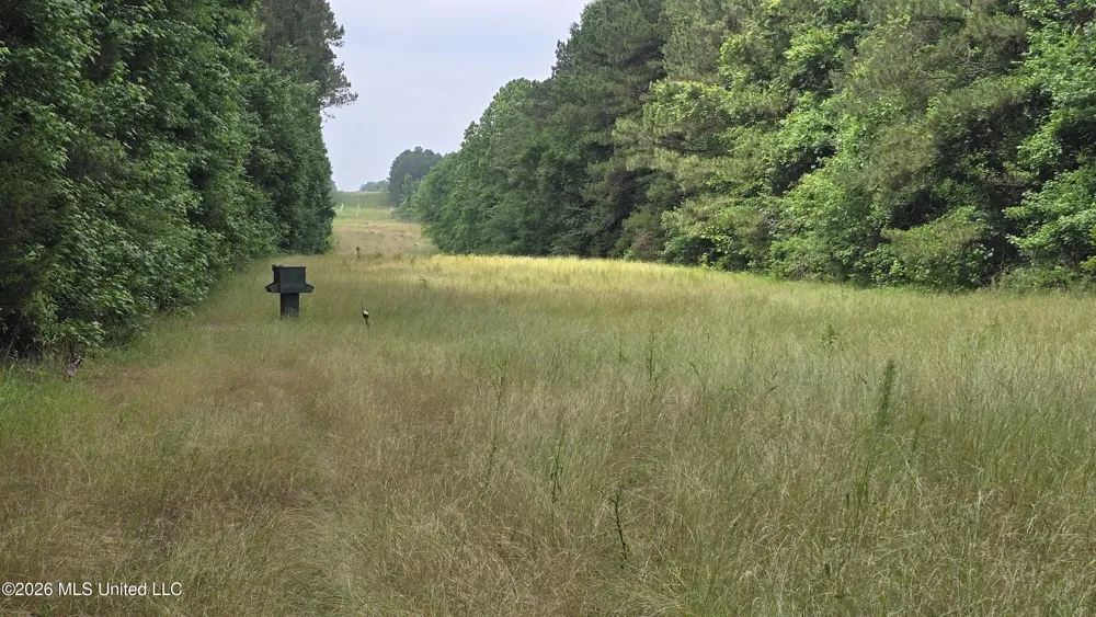 189 Co Rd 2337 Bay Springs, MS 39422