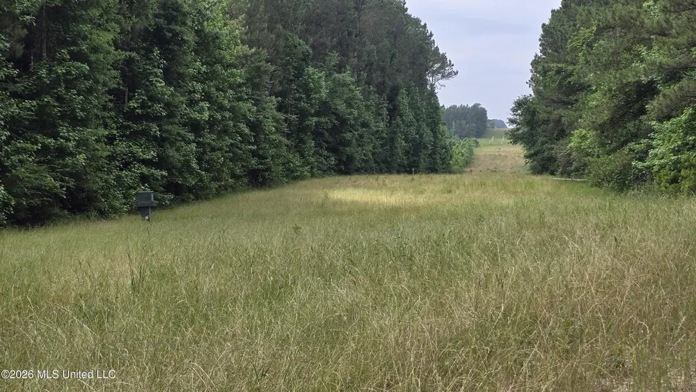 189 Co Rd 2337 Bay Springs, MS 39422