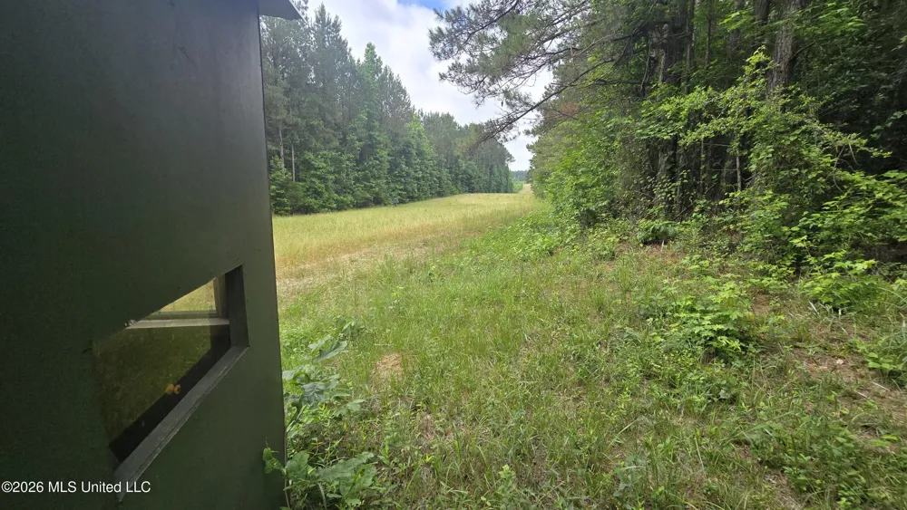 189 Co Rd 2337 Bay Springs, MS 39422