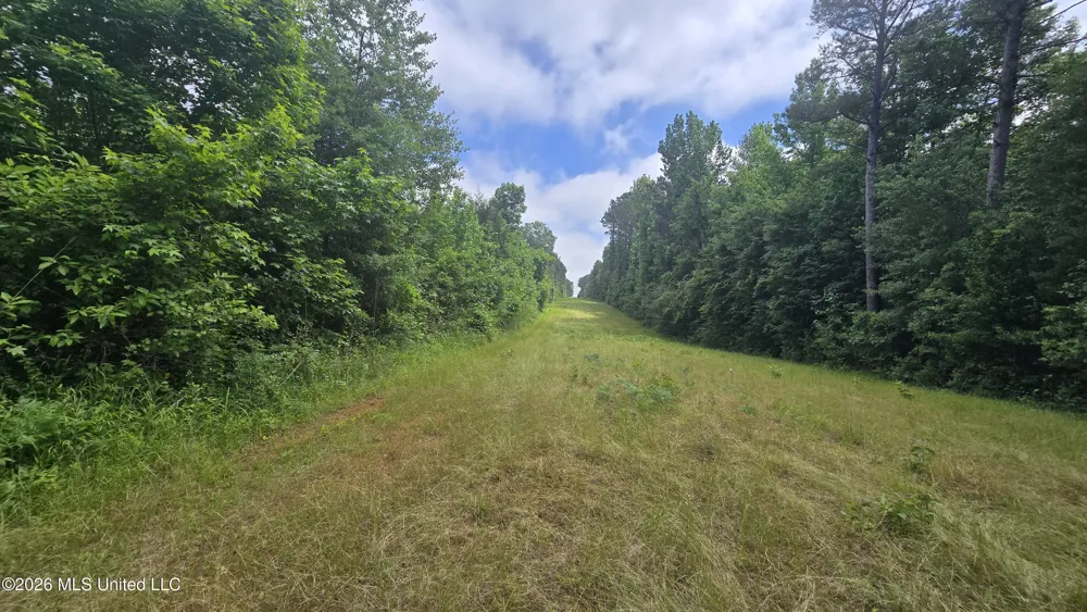 189 Co Rd 2337 Bay Springs, MS 39422