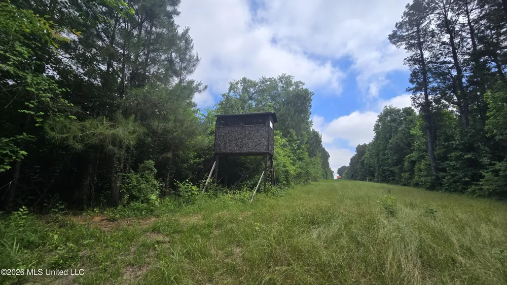 189 Co Rd 2337 Bay Springs, MS 39422