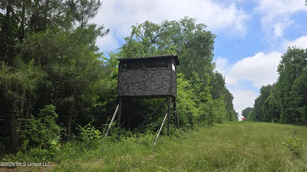 189 Co Rd 2337 Bay Springs, MS 39422